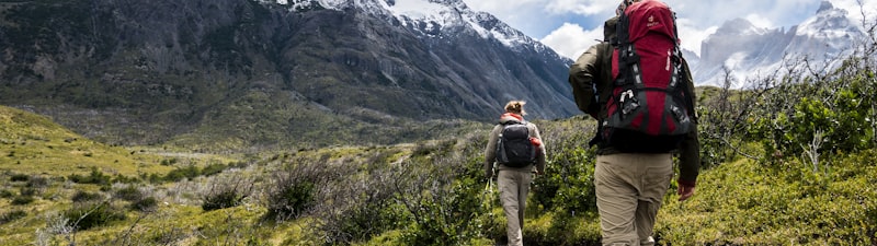 环法自行车赛高山赛段，车手在壮丽山景中艰难爬坡